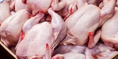 خبرگزاری فارس - مشکلی در تامین گوشت مرغ همدان نداریم