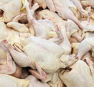 مشکلی در تامین گوشت مرغ استان همدان در ایام پایانی سال وجود ندارد