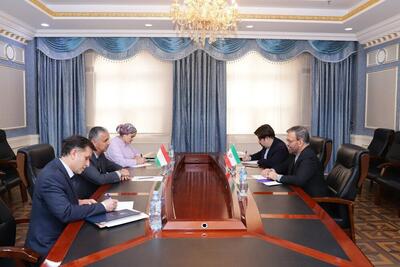 بررسی همکاری‌ها میان ایران و تاجیکستان
