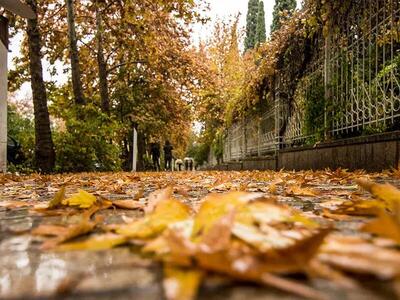 سفر به شیراز در فصل پاییز زیبا و به یادماندنی