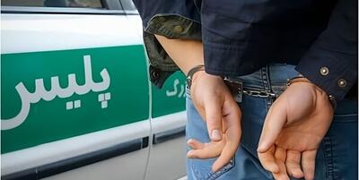 خبرگزاری فارس - دستگیری یکی از اراذل تهرانی در سرخه