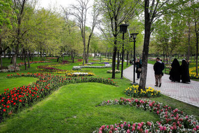 تصویب اصلاحیه مصوبه اخذ عوارض حفظ و گسترش فضای سبز شهر تهران در شورای شهر