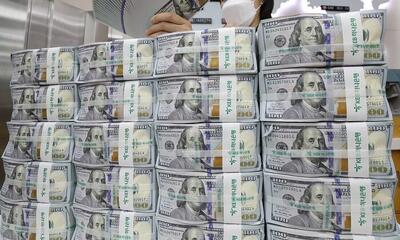 پیش بینی رئیس اتاق ایران و ویتنام از قیمت دلار