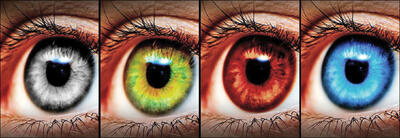 چشم تان چه رنگی است؟/ سبک زندگی تان به این رنگ بستگی دارد