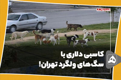 کاسبی دلاری با سگ‌های ولگرد تهران!