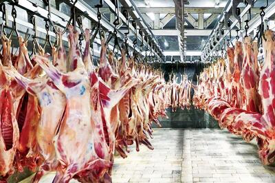 دعوای ارزی بازار گوشت را متلاطم کرد
