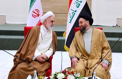 حکیم در دیدار اژه ای: ملت و دولت عراق و ایران روابط عمیق اجتماعی و دینی دارند