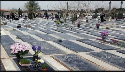 گزارشی از دزدی در بهشت زهرا/ گل‌ها را از روی قبرها می‌دزدند، بسته‌بندی می‌کنند و ۳۰ هزار تومان می‌فروشند