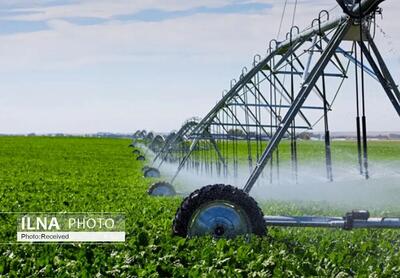 سطح زیر کشت محصولات آبی قزوین در تابستان 6802 هکتار کاهش می‌یابد