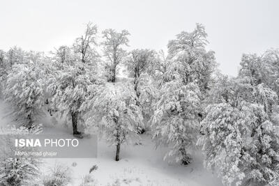 کاهش محسوس دما در مازندران/ پیش بینی برف و کولاک در محورهای کوهستانی