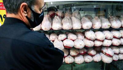 مرغ تا پایان سال گران می شود؟/ تولیدکنندگان: تولید مرغ مقرون به صرفه نیست | اقتصاد24