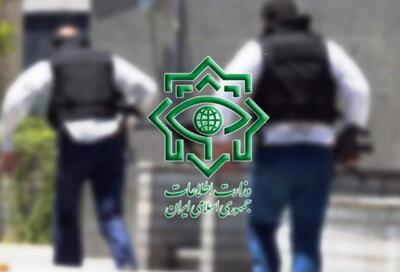 دستیار وزیر اطلاعات: مجاهدت‌های خاموش سربازان گمنام امام زمان (عج) در همه دستگاه‌های امنیت‌ساز حاصل شده است