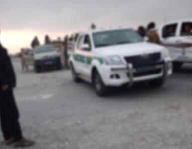 قتل ۱۲ عضو یک خانواده در کرمان/ قاتل خانواده‌اش را به رگبار بست | اقتصاد24