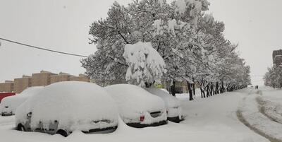 ببینید/ بارش برف در مناطق کوهستانی کرمانشاه