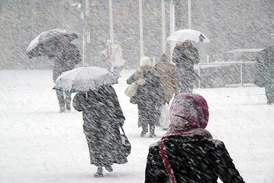 کاهش دما از امروز تا سه شنبه در تهران/ بارش برف و باران درنیمه شمالی استان