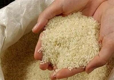 خرید برنج کشاورزان از روز‌های آینده آغاز می‌شود