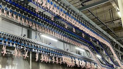 فرآیند پخت و فرآوری هزاران مرغ کامل در یک کارخانه مشهور کره‌ای (فیلم)