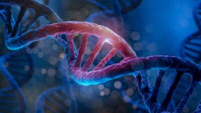 یک نوع روش درمان ژنتیکی خاص با کمک نانوذرات ابداع شد