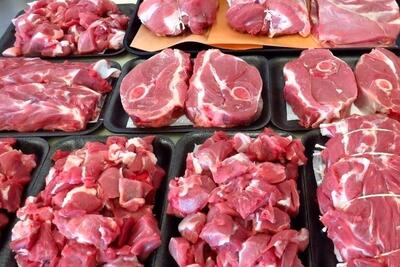 روزانه چند تن گوشت گرم وارد می‌شود؟