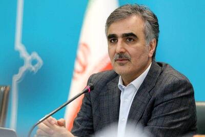 فرزین: از مهم ترین ویژگی نظام بانکی ایران در حال حاضر گستردگی خدمات بانکی است
