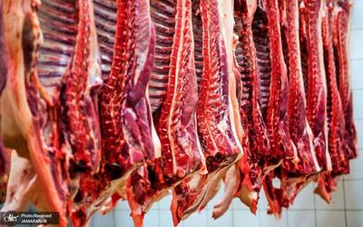 حداقل قیمت گوشت قرمز 600 هزار تومان! سرانه مصرف گوشت نصف شد