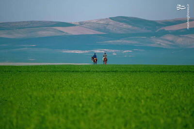 عکس/ ترکمن صحرا