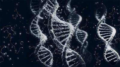 ساخت دستگاه استخراج DNA در شرکت دانش‌بنیان پارک علم و فناوری دانشگاه تربیت مدرس