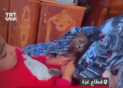 (ویدئو) دختربچه فلسطینی به گربه‌اش: اگر مُردم من را نخوری!