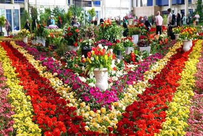 نمایشگاه تخصصی گل و گیاه در قزوین راه‌اندازی می‌ شود