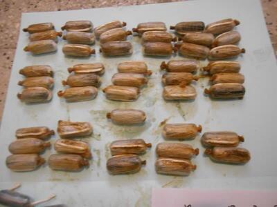 ۳۵۰ بسته هروئین از معده ۴ سوداگر مرگ در اصفهان کشف شد