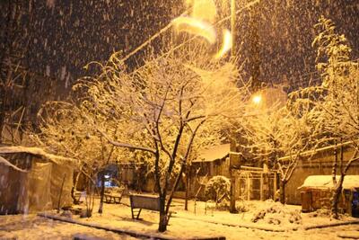 آغاز بارش برف در شهر هرسین