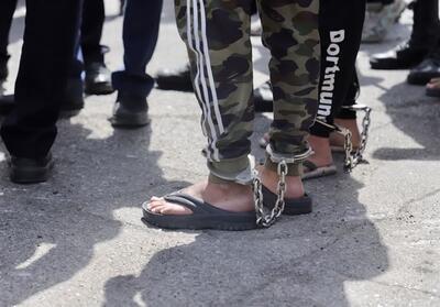 دستگیری 5 شرور در بهشهر - تسنیم
