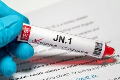 هرچه باید درباره زیرسویه JN.۱ کرونا بدانید؛ از کشور مبدا تا راه‌های درمان
