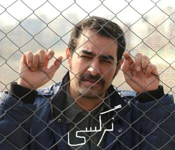نسخه غیرقانونی فیلم جدید شهاب حسینی منتشر شد