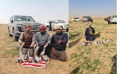 (ویدئو) دشت‌های جنوب افغانستان، خلوتگاه شکارچیان قطری