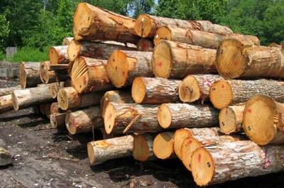 کشف ۳۷ تن چوب‌ قاچاق در لاهیجان