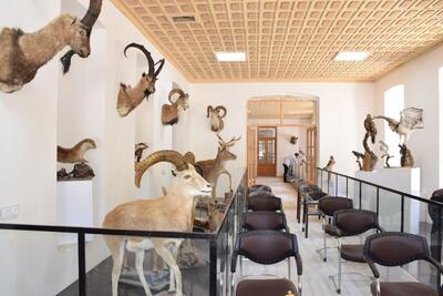 موزه تاریخ طبیعی و تنوع زیستی خرم‌آباد پر بازدیدترین موزه کشور