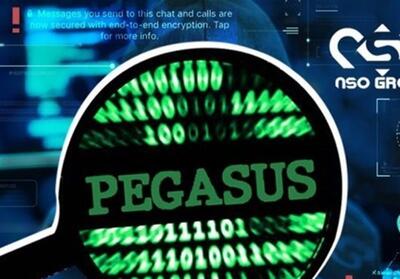 افشای ابعاد تازه ای از جاسوسی با پگاسوس در لهستان - تسنیم