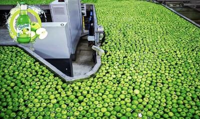 ببینید کارخانه‌ها چگونه سیب، انبه و لیموترش را به آبمیوه تبدیل می‌کنند (فیلم)