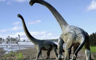 مقایسه دیدنی جثه انواع دایناسور‌ها با یک انسان متوسط (فیلم)