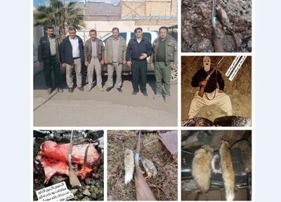 دستگیری شکارچیان متخلف در منطقه الموت غربی