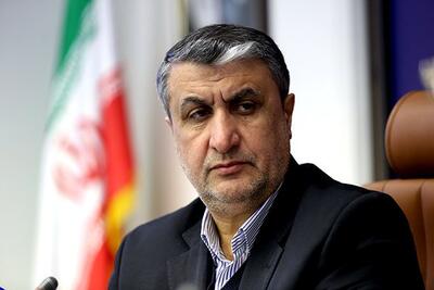 رئیس سازمان انرژی اتمی: تعاملات ایران و آژانس در یک روال طبیعی ادامه دارد