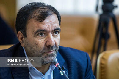 مدیرعامل ایران‌ایر:اورژانس هوایی هما تا یک ماه دیگر راه‌اندازی می‌شود