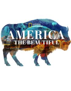 «زیبایی‌های قاره آمریکا» از شبکه مستند پخش می‌شود