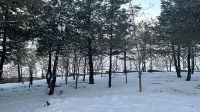 بارش برف در شهرک قائم در آخرین ماه سال + فیلم