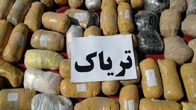 کشف یک کیلو و ۱۸۵ گرم تریاک و شیره آن از خرده‌فروشان حرفه‌ای اسدآباد