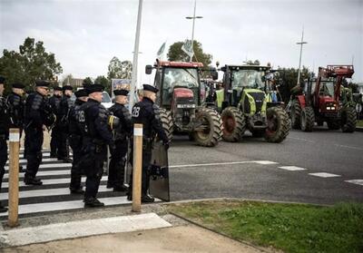شعله ور شدن مجدد آتش خشم کشاورزان اروپایی علیه بروکسل - تسنیم