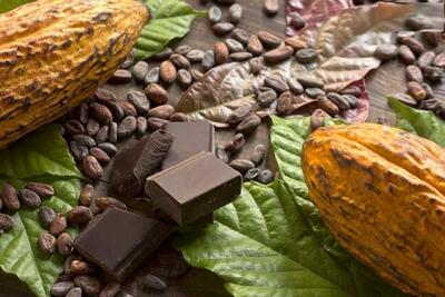 (تصویر) تاریخچۀ پرماجرای «شکلات»؛ از تمدن آزتک تا کارخانه‌های سوئیس