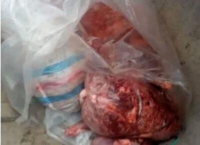 کشف ۳۰۰کیلوگرم گوشت خوک در سوادکوه