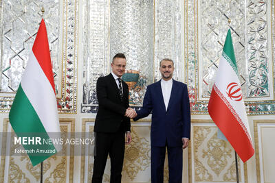 دیدار وزرای خارجه ایران و مجارستان